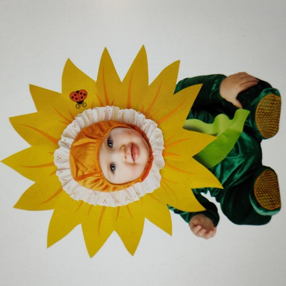 incharacter Costumes Other - Silly Sunflower Baby Halloween Costume Size Small